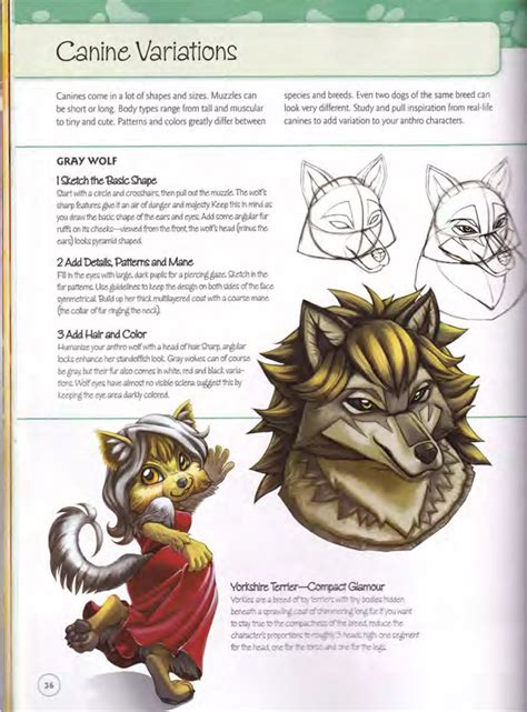 Draw Furries How To Create Anthropomorphic And Fantasy Animals