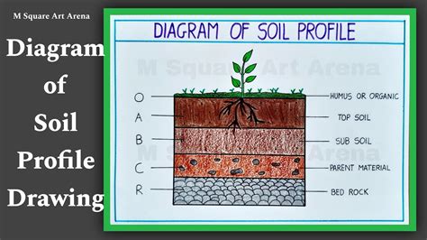 Draw The Soil Profile