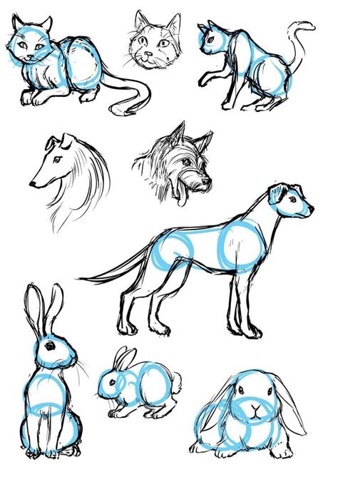 Drawing Animals The Basics Of Character Design Skillshare Draw Animals Using Shapes - Draw Animals Using Shapes