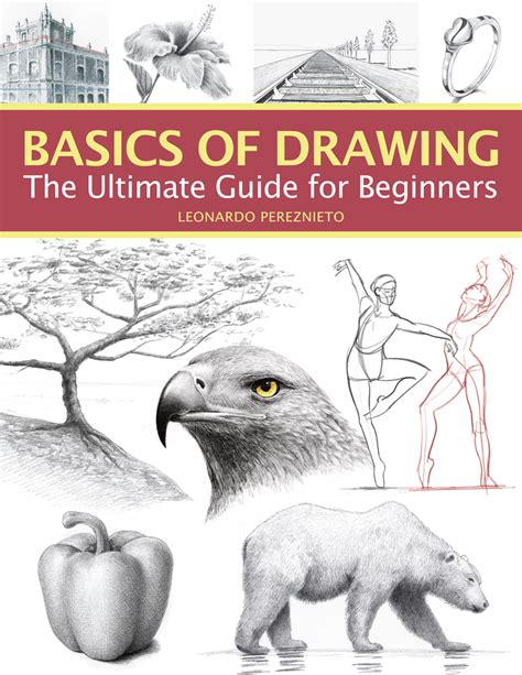 Drawing For Beginners Ultimate Guide To Learn How To Draw And Be An Artist Drawing Sketching Doodle Art