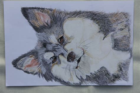 Drawing Of A Finse