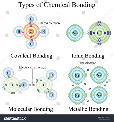 Drawing Of Bonding