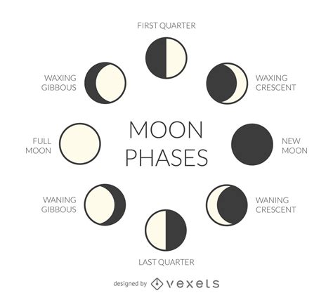 Drawing Of Phases Of Moon   Moon Phases A Guide To The Phases Of - Drawing Of Phases Of Moon