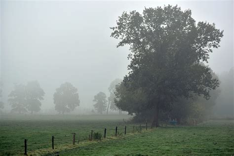 Dreary Day