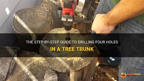 drill holes in tree trunk