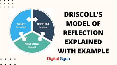 Driscoll Model Of Reflection