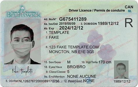 Drivers License Nb