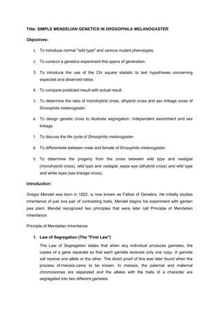 drosophila genetics lab report