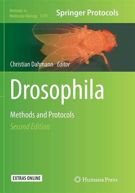 Drosophila Methods And Protocols Methods In Molec