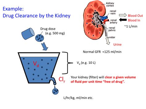 drugs_with_dose-dependent_clearance [TUSOM Pharmwiki]