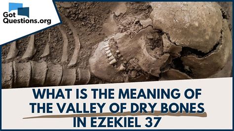 Dry Bones In The Valley A Novel
