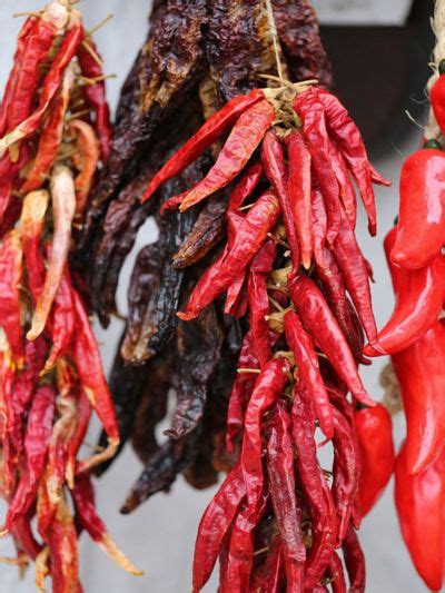 drying frozen peppers : r/HotPeppers - Reddit