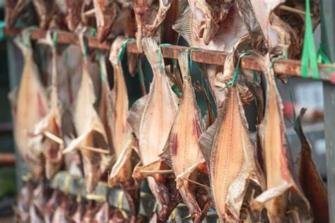 Drying Of Fish