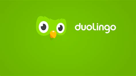 dualingo-4