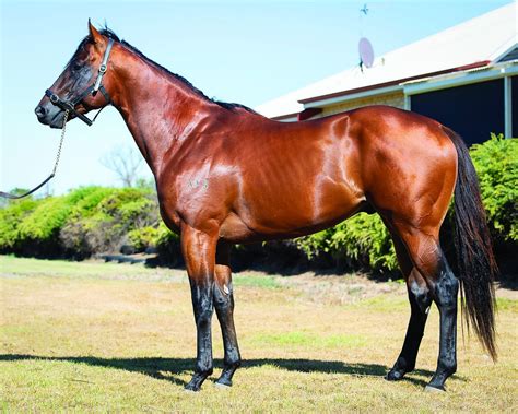 Instagram post by Dorris Bailey #6