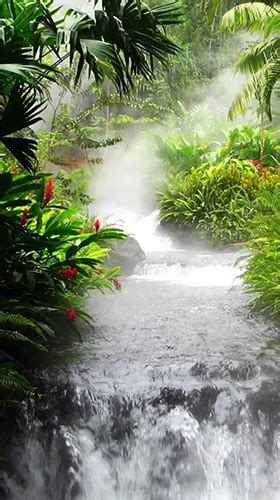 nature photo by Jakayla Maggio