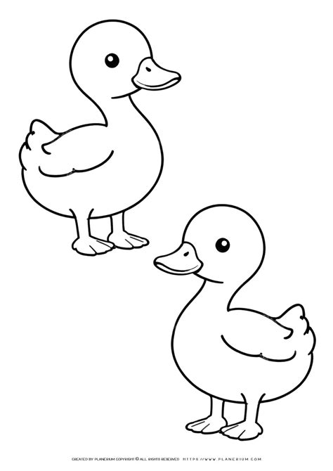 duck coloring sheet