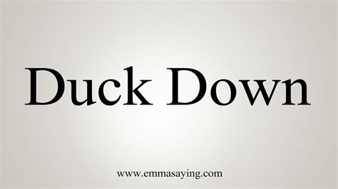 duck down in Chinese - duck down meaning in Chinese - iChaCha