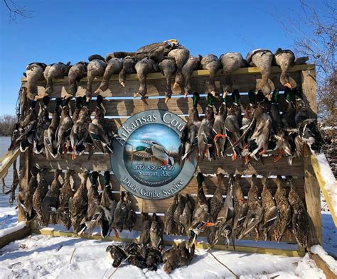 duck hunting club memberships in arkansas - 4seasonsheatnair.com