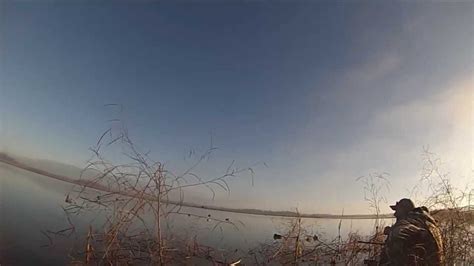 duck hunting howard miller wma - YouTube