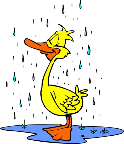 duck in rain clipart - Clip Art Library