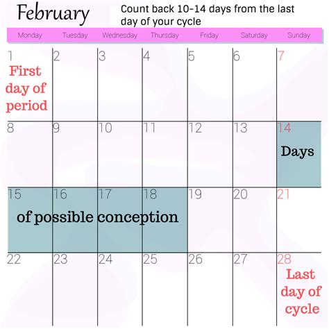 due in march when conceived