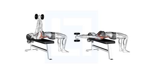 dumbbell pullover bröst