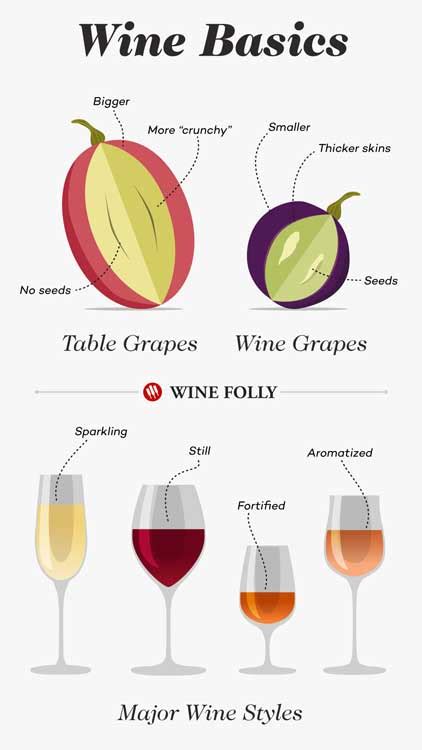 Read Online Dummies Guide To Wine 