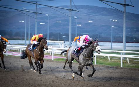 dundalk horse racing