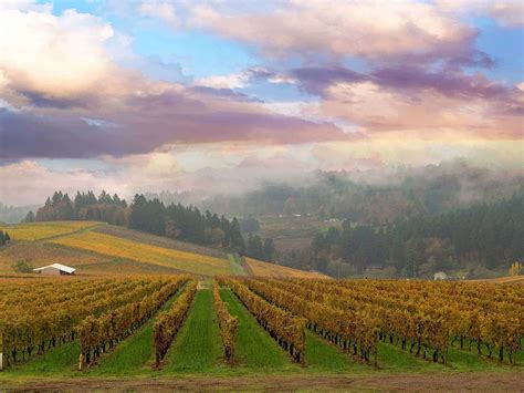dundee oregon