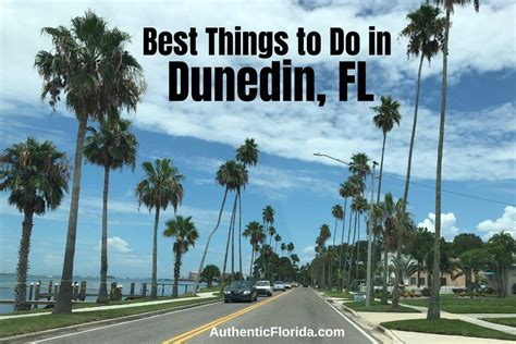 dunedin florida