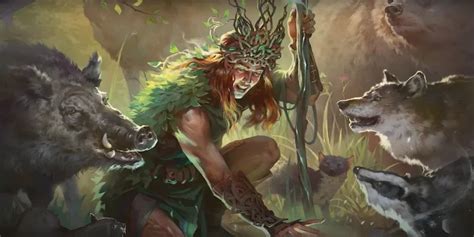Dungeons Dragons Druid
