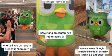 Duolingo bird porn