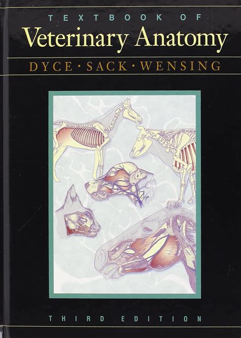 dyce sack and wensing s textbook of veterinary ana