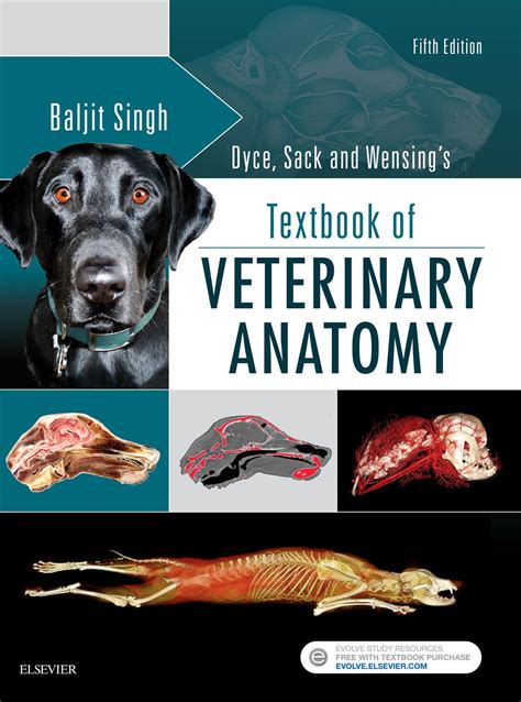 Dyce Veterinary Anatomy