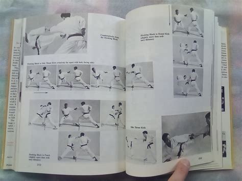Dynamic Karate