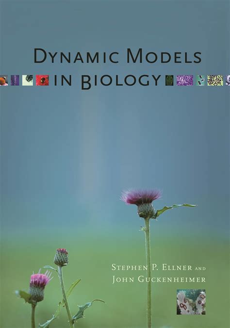 Dynamic Models In Biology