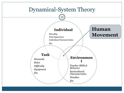 Dynamic System Theory Of Motor Development