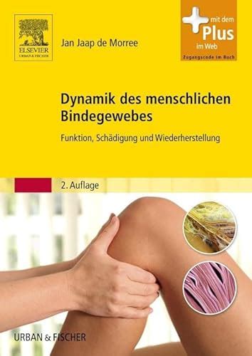 dynamik des menschlichen bindegewebes funktion sc