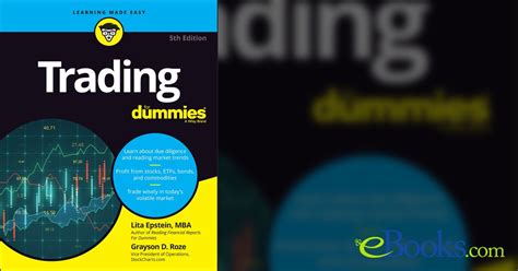 E Bay For Dummies