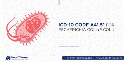E Coli Icd 10