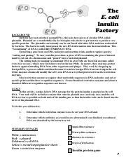 E Coli Insulin Factory Answer Key