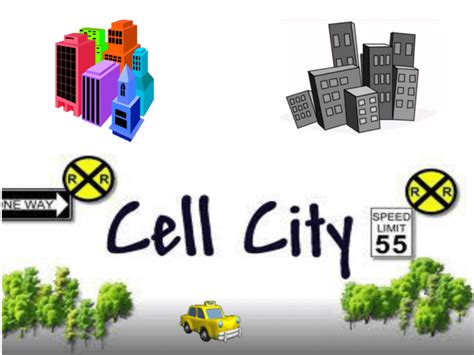 E Streetlight Com Cell City Analogy Worksheet Trashed 6th Grade Cell Unit - 6th Grade Cell Unit