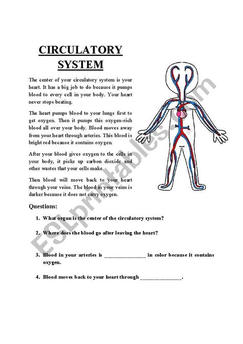 E Streetlight Com Circulatory System Worksheet Pdf Trashed Blood Vessels Worksheet - Blood Vessels Worksheet