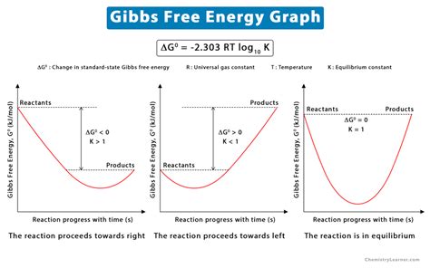 E Streetlight Com Gibbs Free Energy Worksheet I Before E Worksheet - I Before E Worksheet