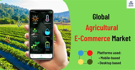 Read E Government E Health E Commerce E Agriculture E Business 