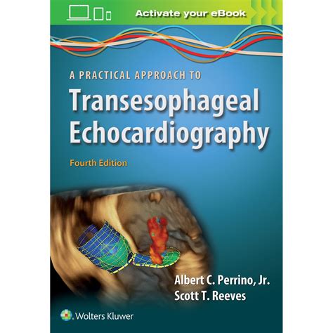 Full Download E Study Guide For A Practical Approach To Transesophageal Echocardiography 