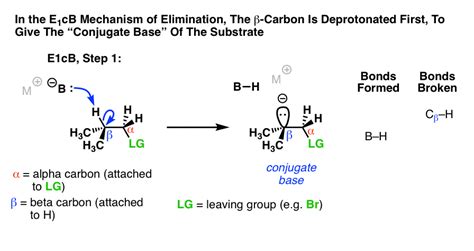 E1cb Elimination Reaction
