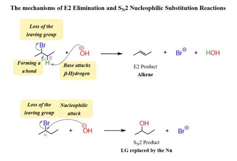 E2 Mechanisms