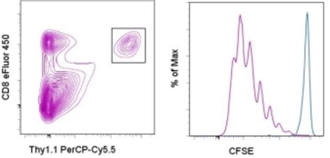 eBioscience™ CFSE